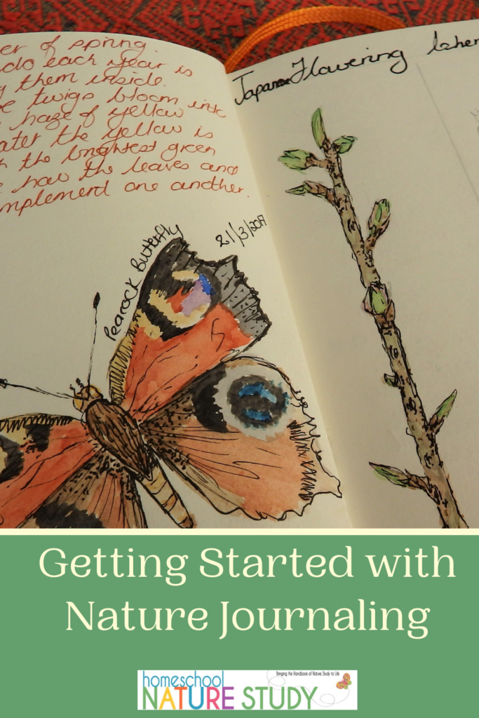 Getting Started with Nature Journaling in your homeschool.