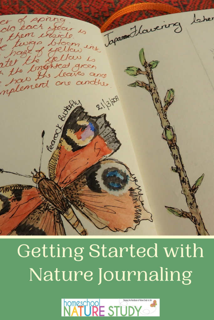 3 Tips for Nature Journaling When You Think You Can't Sketch - Homeschool  Nature Study