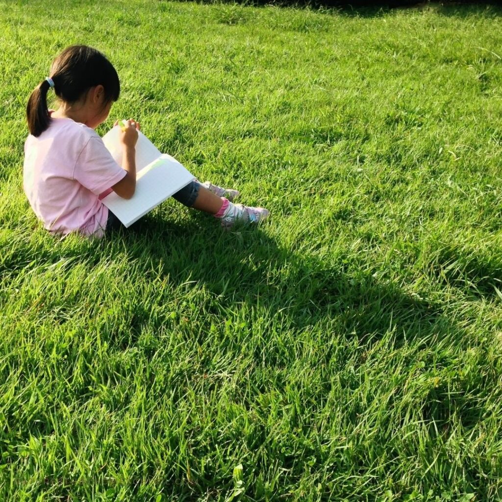 homeschool nature journaling with preschoolers and young students