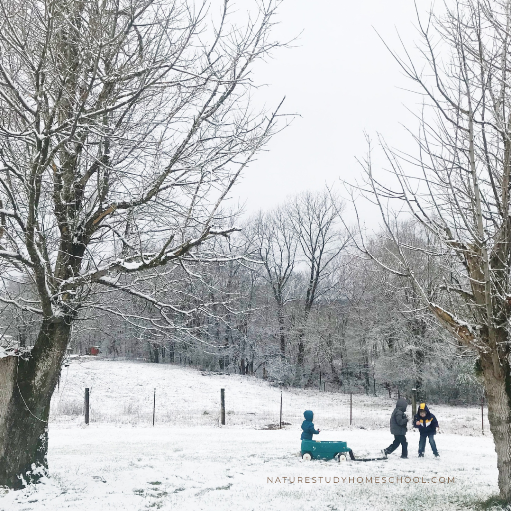 There are so many simple ways to study nature in your homeschool this winter! From nature walks to indoor studies, use this guide as a starting point for making memories together.