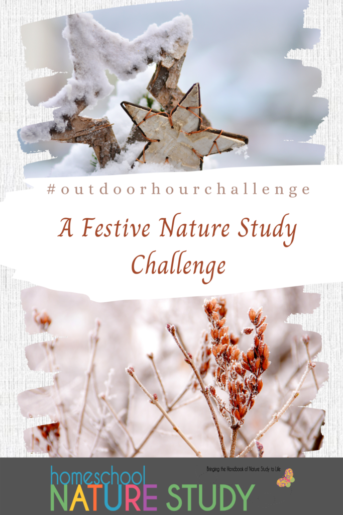 How about a festive homeschool nature study this winter? Now is the perfect time to include some themed nature crafts and studies in your homeschool.