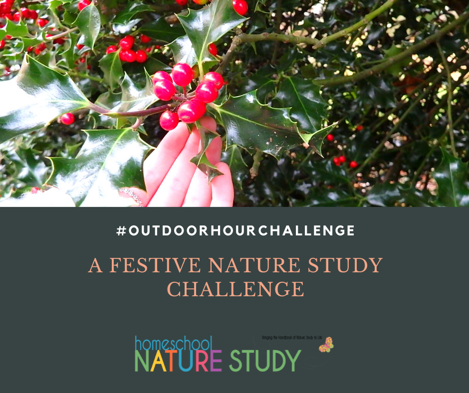 How about a festive homeschool nature study this winter? Now is the perfect time to include some themed nature crafts and studies in your homeschool.