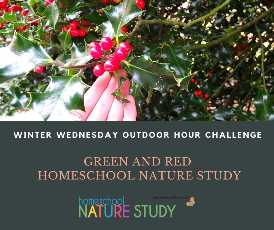 Green and Red Homeschool Nature Study