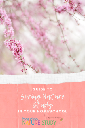 Guide to Spring Nature Study in Your Homeschool - Homeschool Nature Study