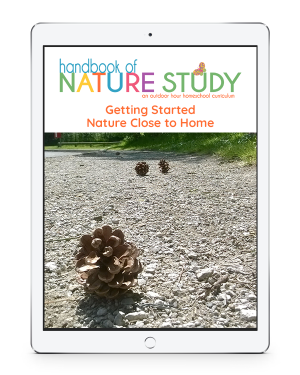 Getting Started nature study close to home