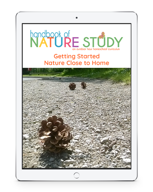 We are excited to announce several fun resources that will make is easy for you to add the joy of nature study for your homeschool year!