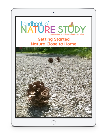 It is simple to get started. We will show you how. Grab this free Homeschool Nature Study Guide and discover the joys of nature study in your homeschool.