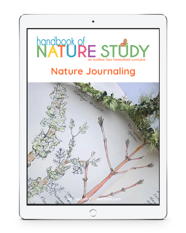 Nature journaling series at Homeschool Nature Study