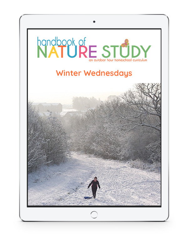 Enjoy all kinds of January nature studies perfect for winter homeschooling! Get outside for a brisk nature walk and follow up with a nature journal page.
