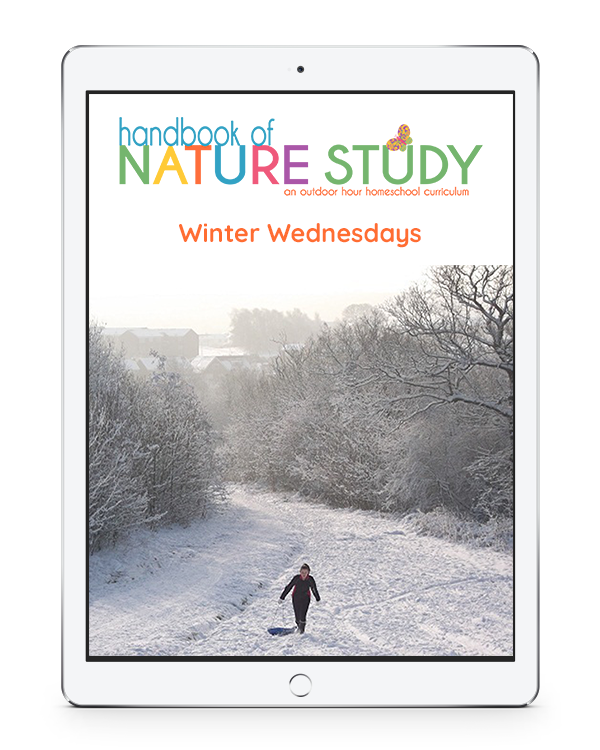 January Nature Studies Perfect for Winter Homeschooling