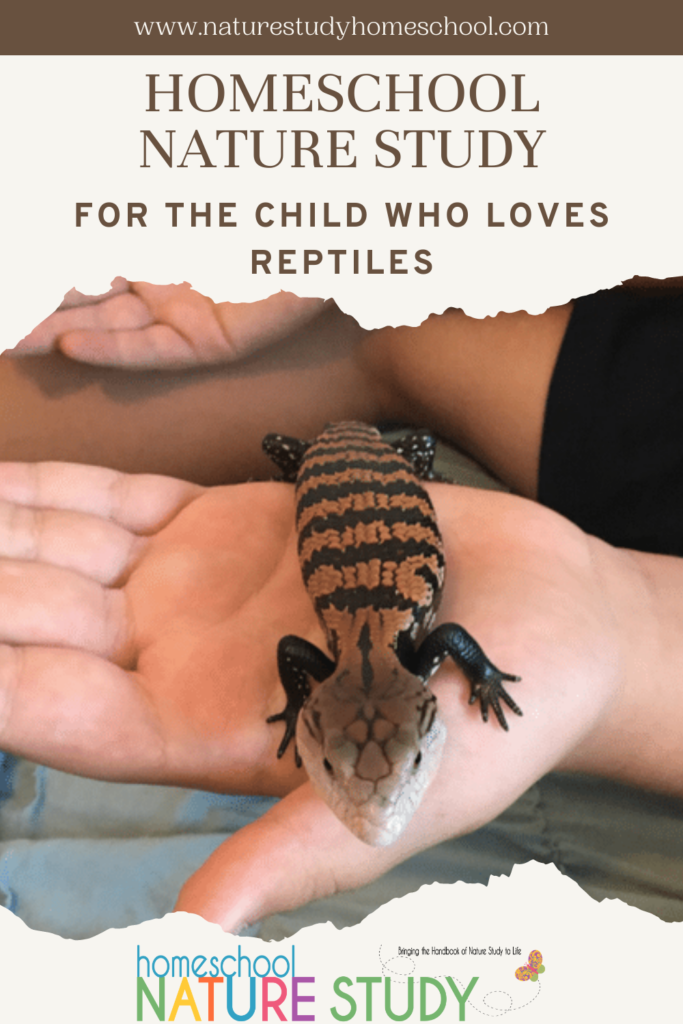 This homeschool nature study incorporates indoor and outdoor activities, perfect for the child who is fascinated by reptiles.