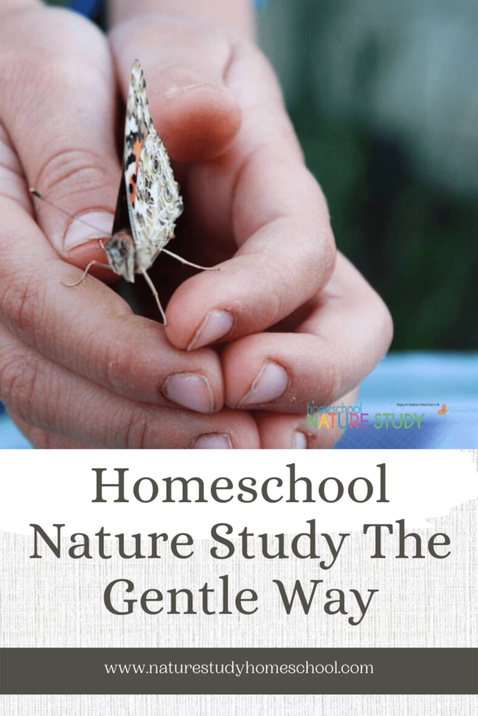 Wondering how to enjoy homeschool nature study the gentle way? Here are some simple steps to get you started. No special equipment needed!