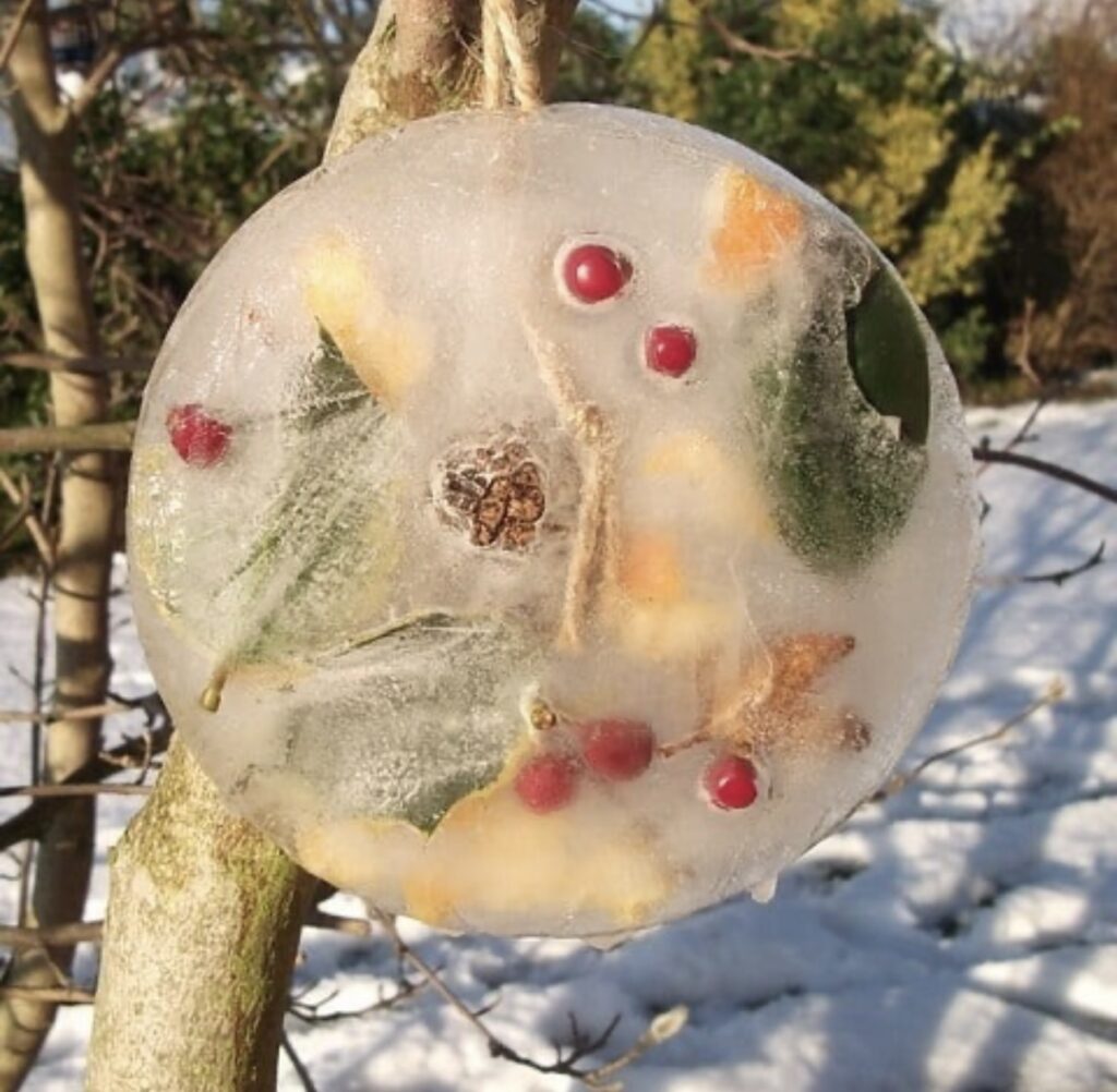 How about a festive homeschool nature study this winter? Now is the perfect time to include some themed nature crafts and studies in your homeschool.