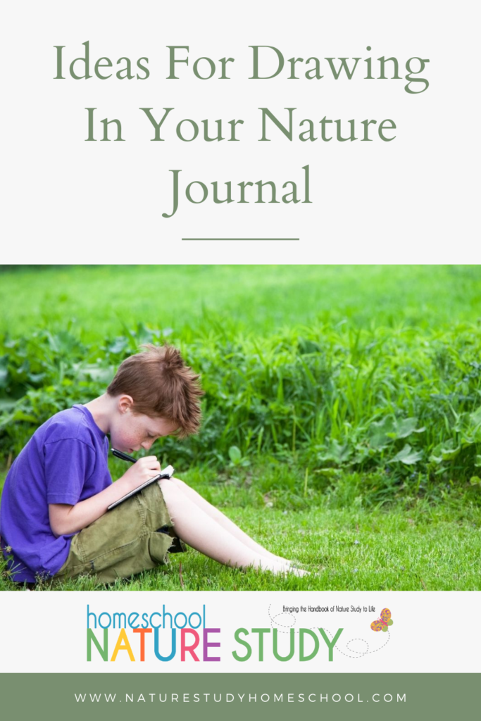  Here are some great resources you can use as ideas for drawing in your nature journal. Perfect for using for your homeschool nature study.