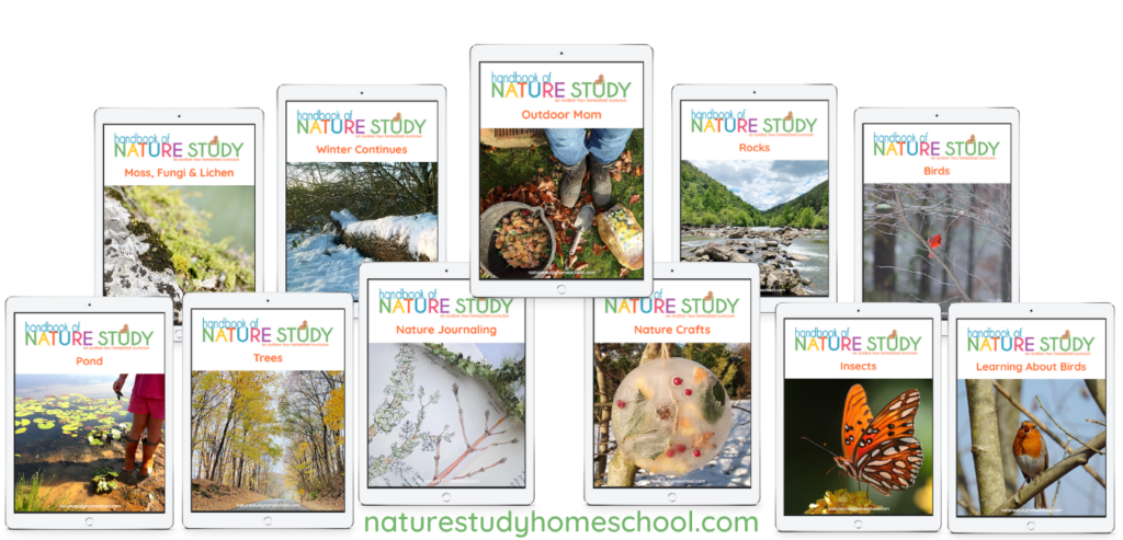 Homeschool Nature Study membership for year round support