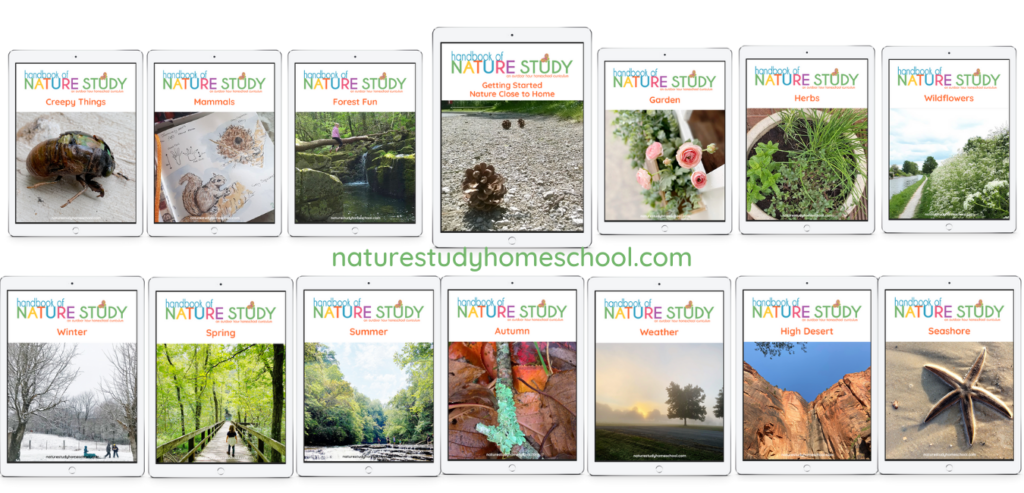 Join the Homeschool Nature Study Membership for Year Round Support!