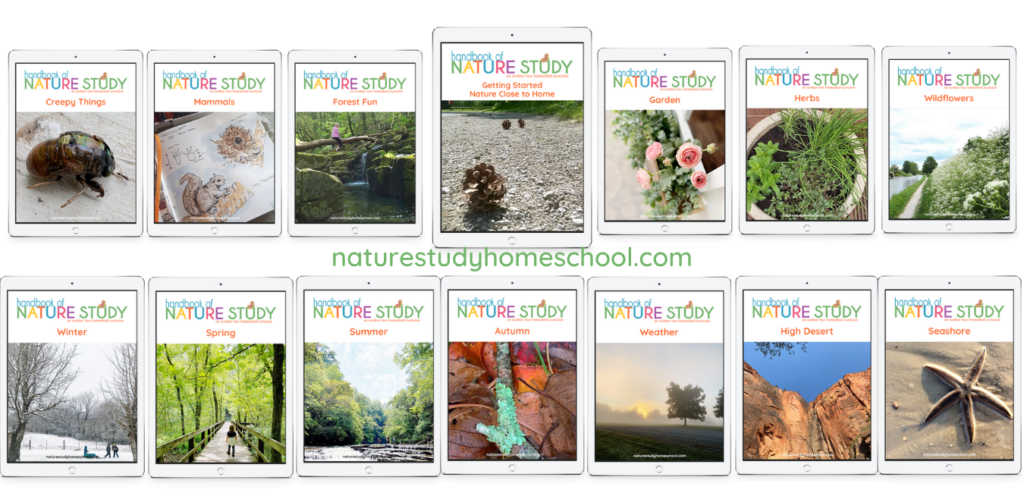 benefits of homeschool nature study membership