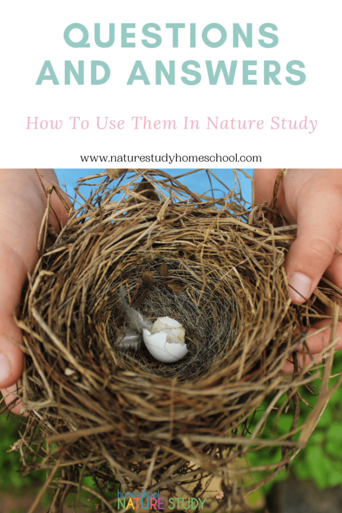 questions and answers in nature study