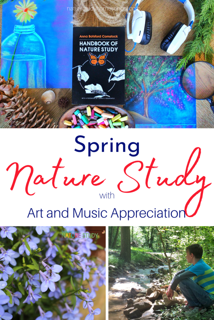 Spring is a wonderful beginning, so take advantage of the opportunity and season with this guide to spring nature study in your homeschool.