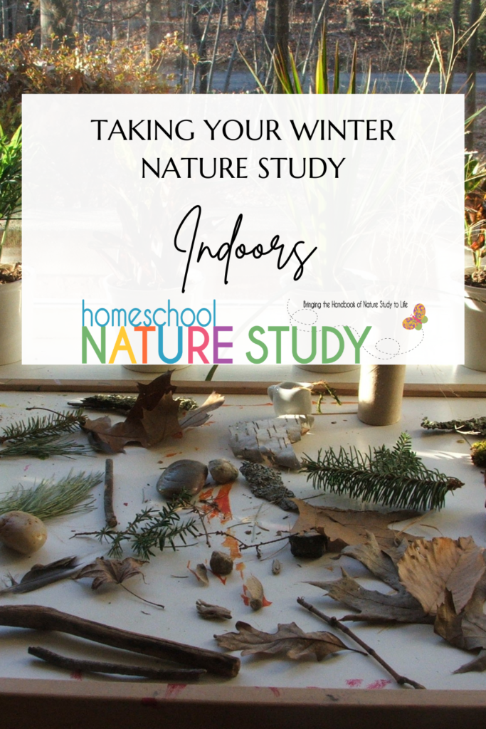 If you are buried under a blanket of snow which makes getting outdoors a challenge, then consider taking your winter nature studies indoors.