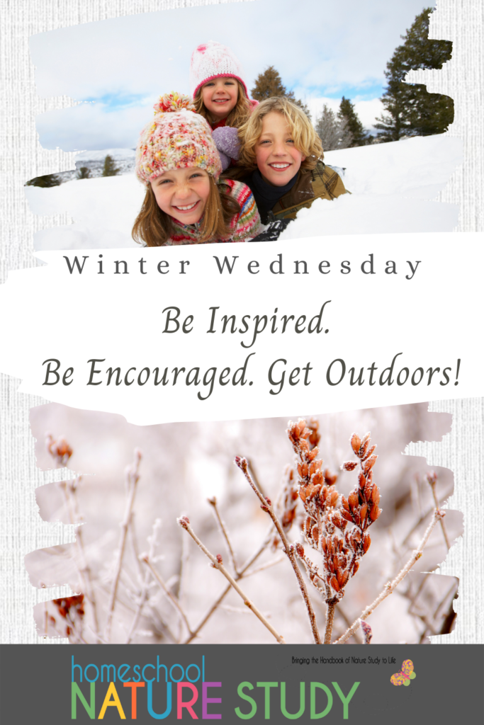 Winter Wednesday - The World of Winter Homeschool Nature Study