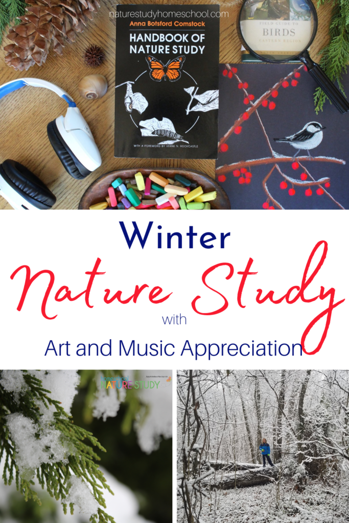 This winter homeschool nature study curriculum contains not only nature study but notebook pages plus three months’ worth of art and music appreciation.