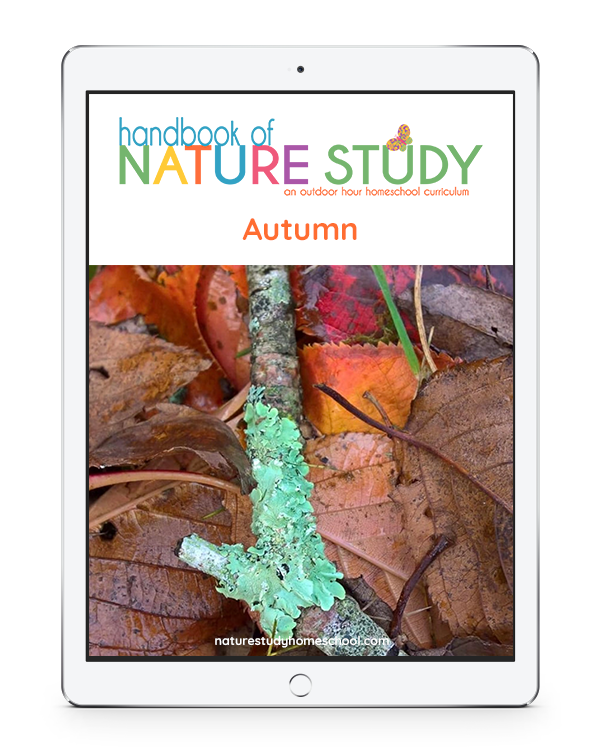 Autumn Handbook of Nature Study outdoor hour homeschool curriculum