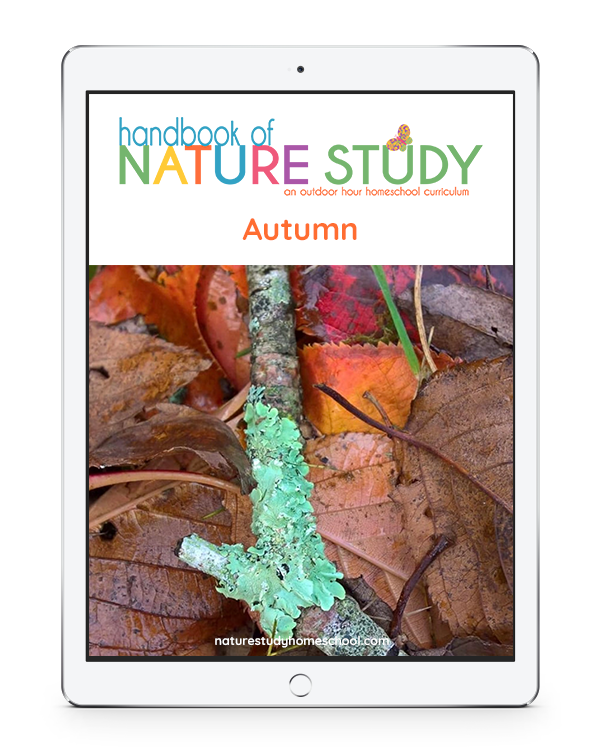 Homeschool Nature Study Membership for Fun Fall Outdoor Learning