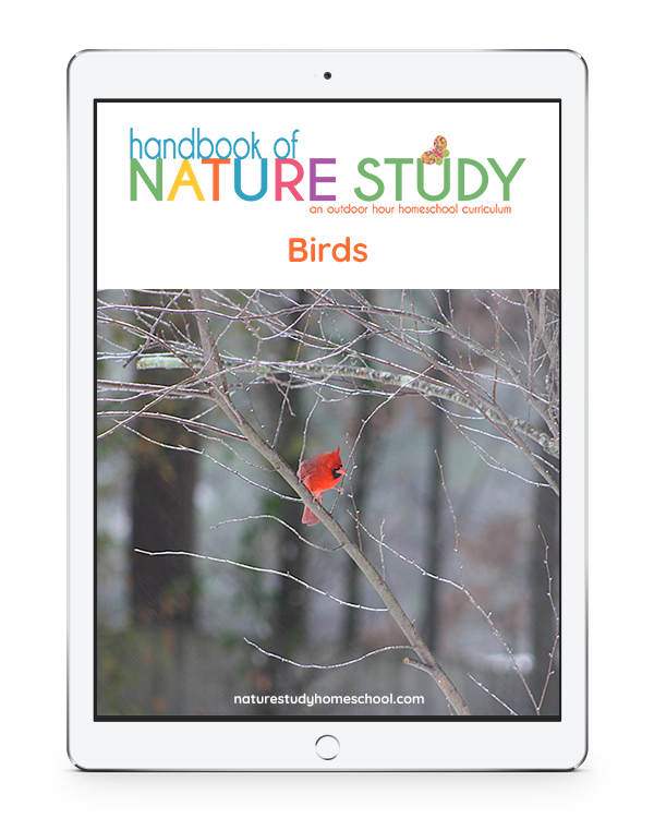 Birds course Handbook of Nature Study Outdoor Hour Homeschool Curriculum