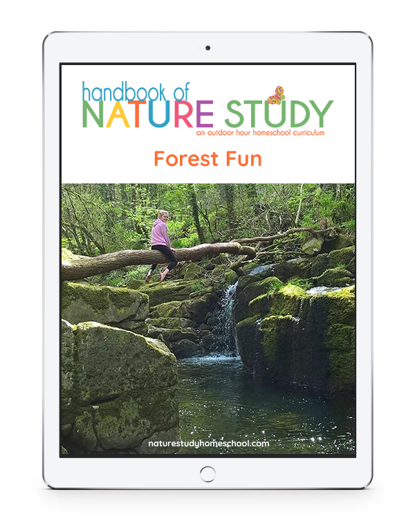 Forest Fun Outdoor Hour Homeschool Curriculum