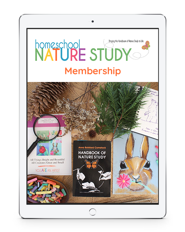 You will find hundreds of homeschool nature studies plus all the Outdoor Hour Challenges in our Homeschool Nature Study membership. There are 25+ continuing courses with matching Outdoor Hour curriculum that will bring the Handbook of Nature Study to life in your homeschool! In addition, there is an interactive monthly calendar with daily nature study prompt – all at your fingertips!