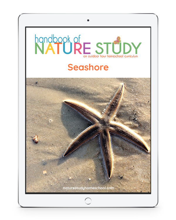Handbook of Nature Study Seashore course