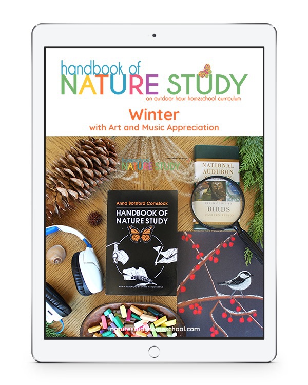 This winter homeschool nature study curriculum contains not only nature study but notebook pages plus three months’ worth of art and music appreciation.