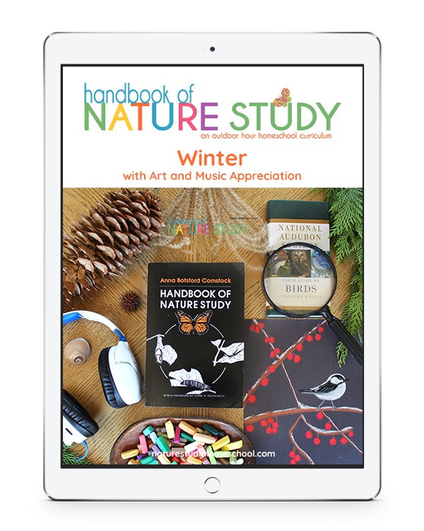 These December nature study activities for the Christmas season will help you to slow down and enjoy this month with your children!