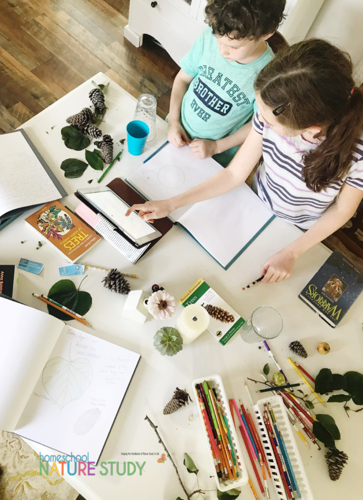 How to get your copy of The Handbook of Nature Study book to go with the Outdoor Hour Challenges for your homeschool nature study.