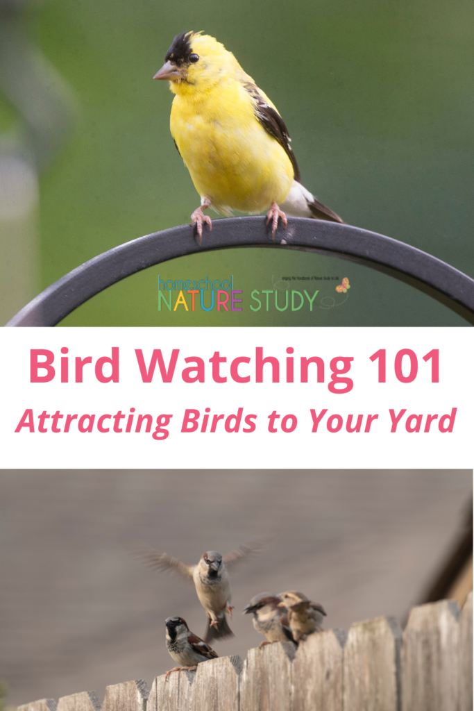 Here you will find all sorts of ideas for attracting birds to your yard for homeschool nature study and birdwatching with bird feeders and garden plants.