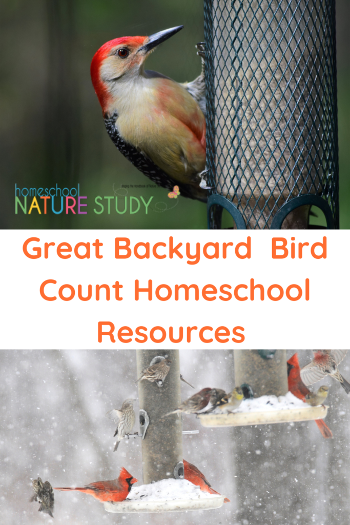Are you ready? Enjoy these Great Backyard Bird Count Homeschool Resources as you watch birds in your backyard this February!