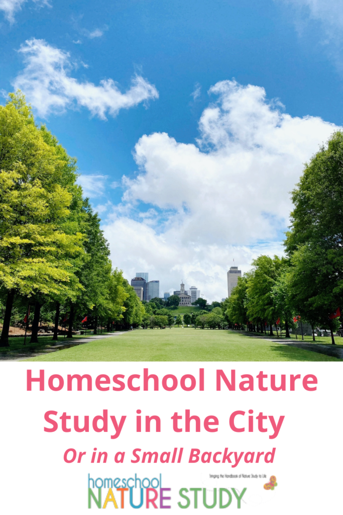 Here you will find some practical ideas for homeschool nature study in the city or in a small backyard. You will see just how much you can enjoy with your family! 