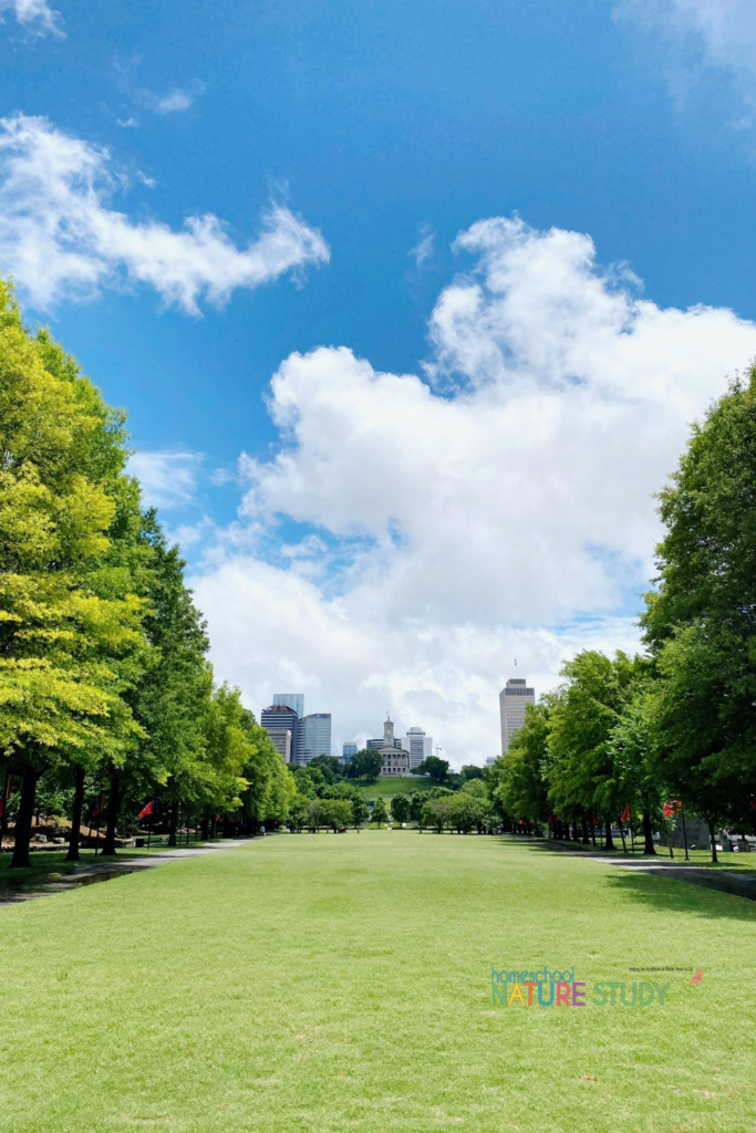 Here you will find some practical ideas for homeschool nature study in the city or in a small backyard. So much you can enjoy with your family! 