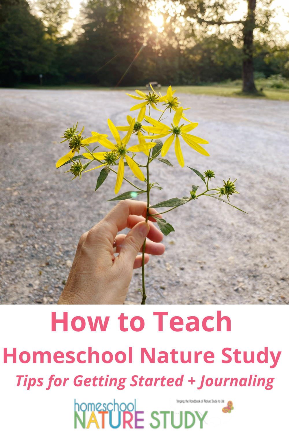 How to teach homeschool nature study? It is not as intimidating at you think! We share how to naturally share nature study with your child.