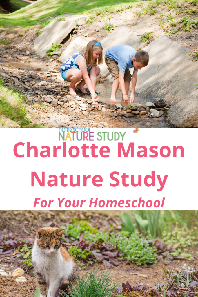 How do you enjoy a Charlotte Mason nature study for your homeschool? Look at advice from Charlotte Mason herself and apply it to outdoor times.