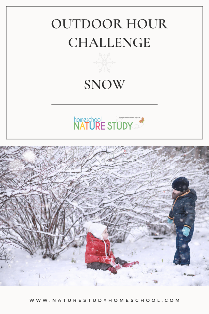 In this homeschool snow study there is so much to discover! Included is a field guide to snow, experiments like filtering, guidance from the Handbook of Nature Study and more!