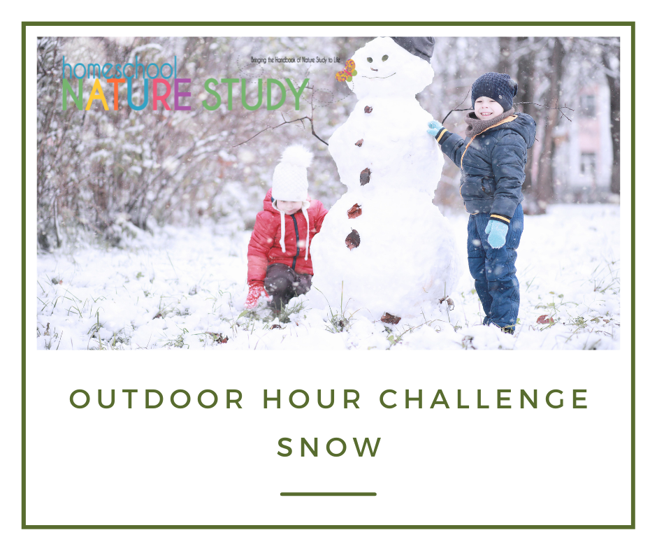 In this homeschool snow study there is so much to discover! Experiments like filtering, guidance from the Handbook of Nature Study and more!