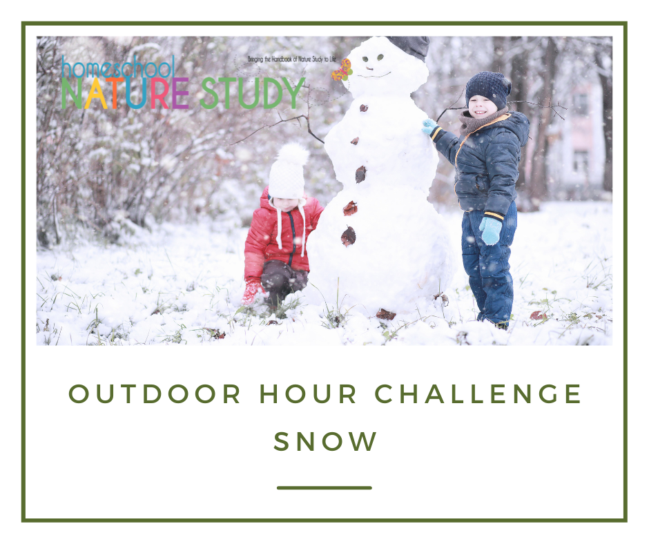 snow homeschool nature study 