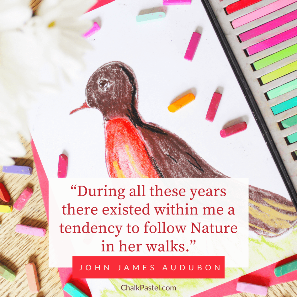 John James Audubon quote and bird chalk pastel art lessons.