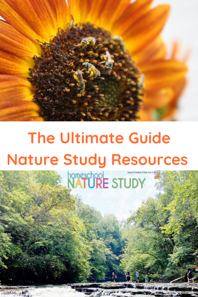 Here you will find the best homeschool nature study resources plus year round support for your family! Includes tips for getting started.