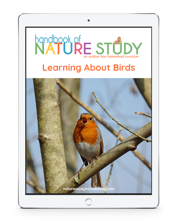 Learn About Birds Homeschool Nature Study membership.