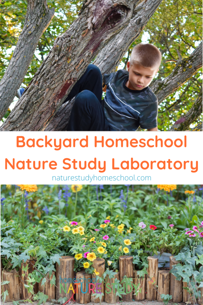 Your backyard is a homeschool nature study laboratory! You already have what you need to build the habit of getting outside with your children.