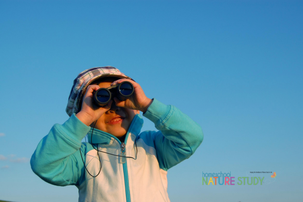 Enjoy a simple fall bird study for your homeschool with Project Feederwatch! This is an activity that can help you learn more about your local birds.