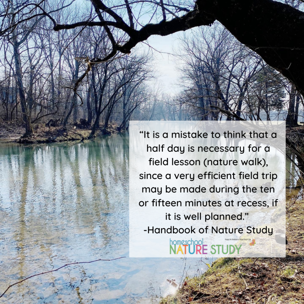 “It is a mistake to think that a half day is necessary for a field lesson (nature walk), since a very efficient field trip may be made during the ten or fifteen minutes at recess, if it is well planned.”  Handbook of Nature Study